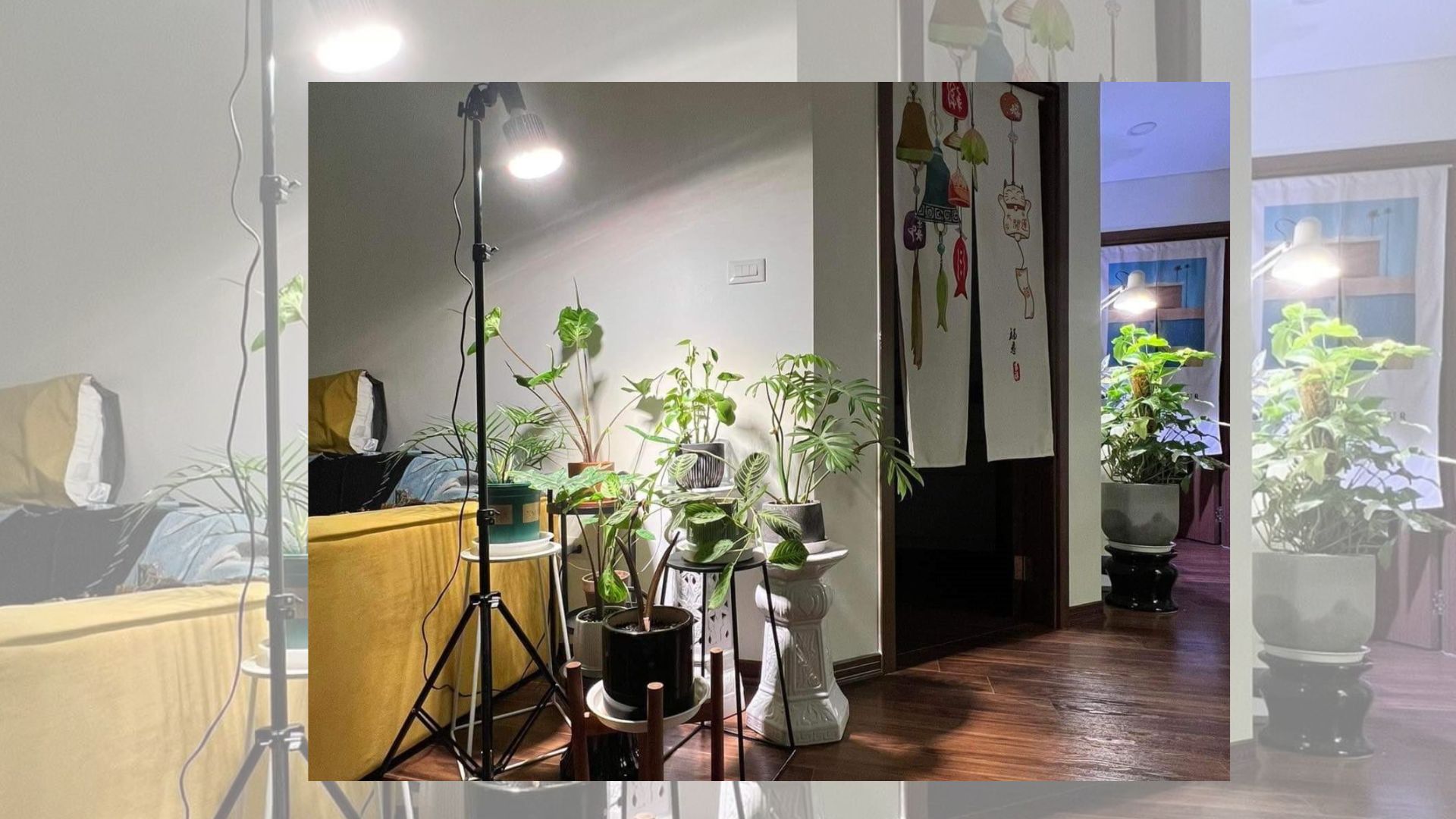 Lý Do Nên Chọn Đèn Rọi Ray Cho Việc Trồng Cây
