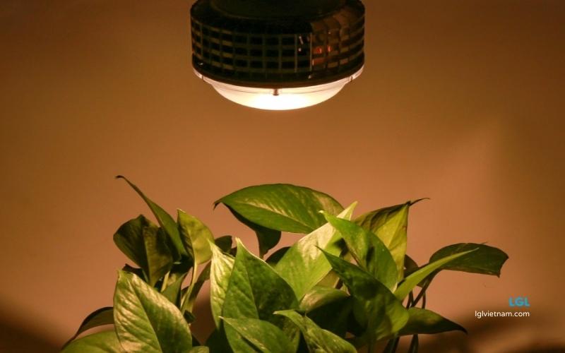 Đ&egrave;n trồng c&acirc;y LGL VIETNAM được tạo ra bằng những con led c&oacute; bước s&oacute;ng &aacute;nh s&aacute;ng ph&ugrave; hợp cho từng loại c&acirc;y trồng